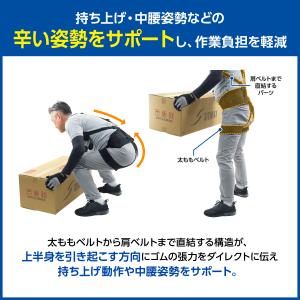 アシストスーツ 腰痛ベルト 医療メーカー公式メ...の詳細画像1