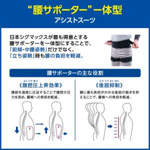 アシストスーツ 腰痛ベルト 医療メーカー公式メ...の詳細画像3