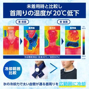氷嚢 氷のう 冷感グッズ 熱中症対策グッズ 冷...の詳細画像2