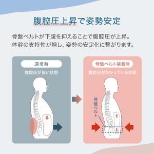 骨盤ベルト 腰ベルト 骨盤矯正 腰痛ベルト 姿...の詳細画像3