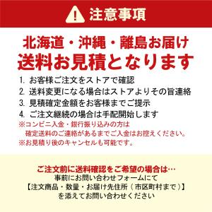 [本州送料無料] ガスバーナー加熱溶着 自転車...の詳細画像5