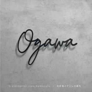 表札 ステンレス 切り文字 ひょうさつ 戸建て ハウスサイン