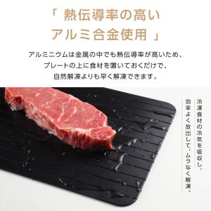 解凍プレート まな板 厚さ3mm S/Mサイズ...の詳細画像4