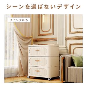 収納ボックス 姫系 折畳み 引き出し式 収納ケ...の詳細画像5