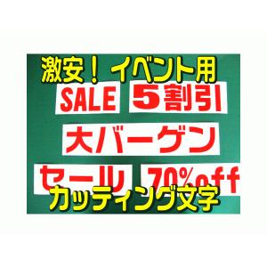 激安 短期用 カッティング文字 5cm以下 カ...の詳細画像4