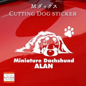 断トツ可愛い ミニチュアダックスフンド ステッカー 16 愛犬ネームが