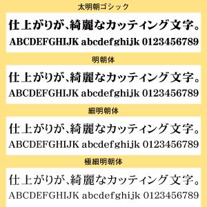 屋外耐候 カッティング文字 20cm以下 カッ...の詳細画像5