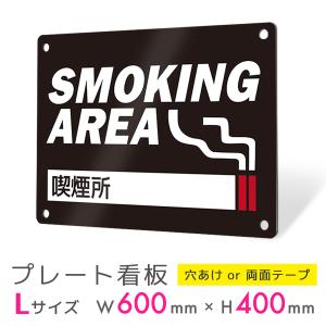BESTSIGN（ベストサイン） LEDポスターパネル 防犯鍵付き式 B2サイズ