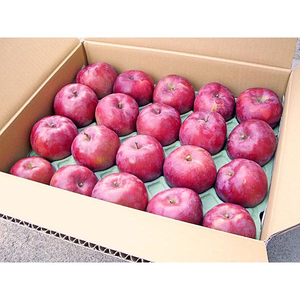 旭りんご 5Kg（18〜20玉） 出荷時期：10月