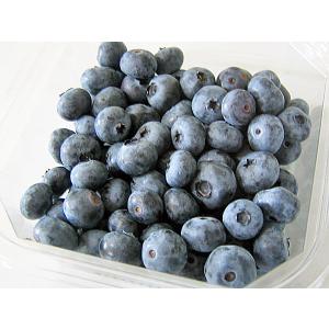 ブルーベリー（生果実）2Kg 北海道産 出荷時期：8月 : 旬をお取り寄せ