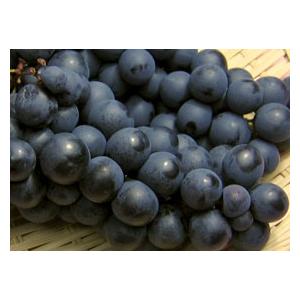 キャンベル(黒ぶどう)2Kg(5房前後)北海道...の詳細画像3