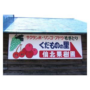 キャンベル(黒ぶどう)4Kg(10房前後)(2...の詳細画像4