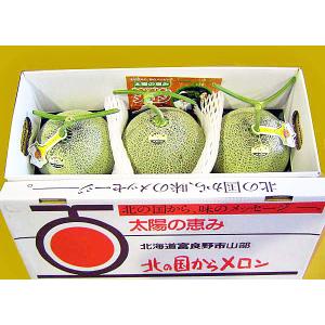 アロニア（冷凍果実）500g 北海道産【9月上旬出荷開始】 : 旬をお