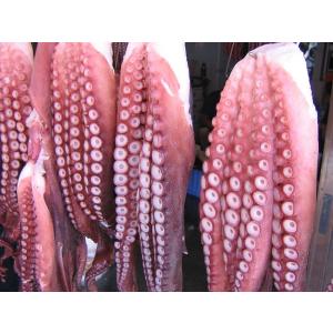 煮たこ足 (700g)×1本 北海道オホーツク...の詳細画像4