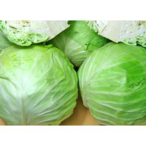 コクワ（サルナシ）500g×1パック 北海道産こくわ 出荷時期：9月 : 旬を