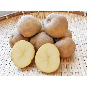 インカのめざめ（M〜Lサイズ混）5Kg 北海道産 じゃがいも 出荷時期 10