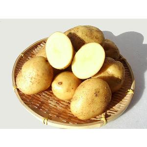 新ジャガ　長崎黄金　29kg ながさき黄金