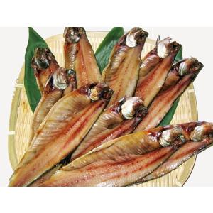 生身欠ニシン 半身4 5枚 400g 5パック 北海道加工 なまみがきにしん Sagaretxe Net