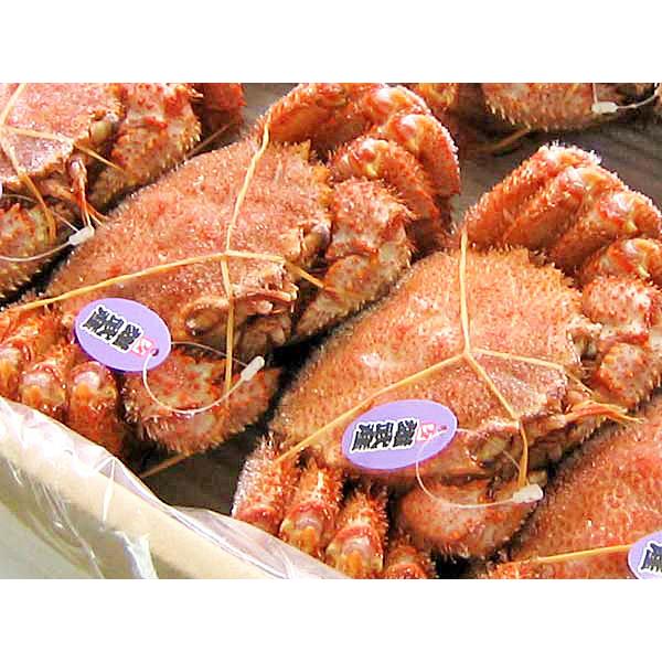 毛がに(ボイル冷凍) 500g×2尾 送料無料 北海道産毛ガニ