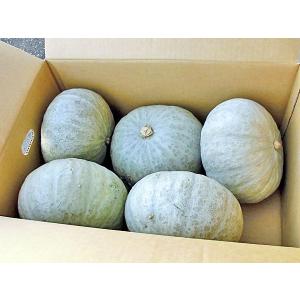 雪化粧かぼちゃ 10kg (4〜7玉)×1箱 北海道産 南瓜 出荷時期：10〜1月 生産元直送