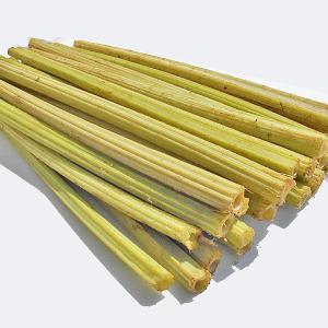 つぼみ限定 ふきのとう 蕗の薹 500g 天然山菜 飛騨高山産 冷蔵発送