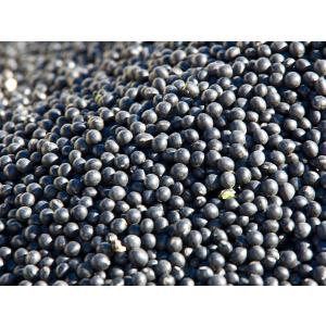 黒千石大豆きなこ(100g)×1個 北海道産の詳細画像2