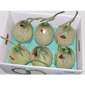 夕張メロン(共撰)優品 約1.6kg×1玉 北海道産 赤肉メロン メロンの王様