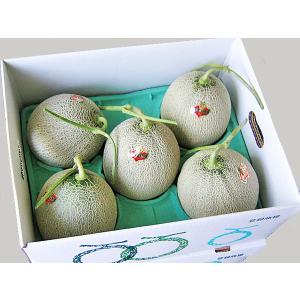 フキノトウ( 200g)×1パック 北海道産 出荷時期：4月 : 旬をお取り寄せ