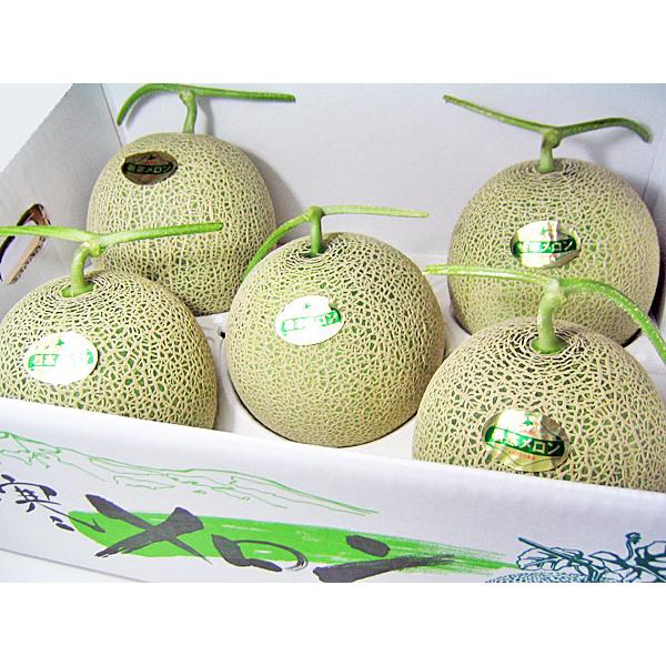 暑寒メロン（秀）1.6kg×5玉 北海道産めろん 出荷時期：7〜8月