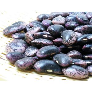 紫花豆 1kg 北海道産 はなまめ