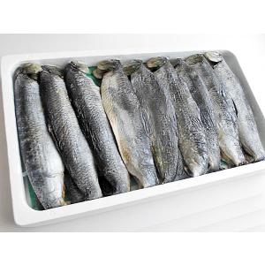 ひらきほっけ（大・約300g）×5枚 北海道産 ホッケ一夜干 : 旬をお