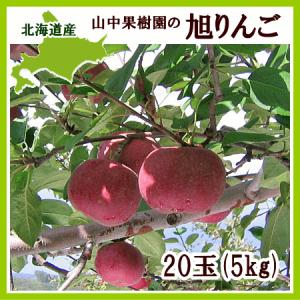 旭りんご  5Kg（20玉）北海道旭川産 あさひ リンゴ 出荷時期：10月