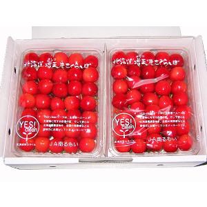 行者ニンニク（天然）1kg 北海道産 出荷時期：4月 : 旬をお取り寄せ