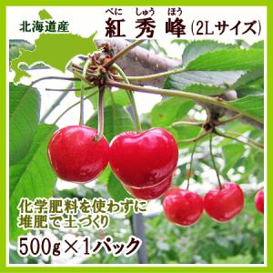 紅秀峰（2L) 500g 北海道産 さくらんぼ 桜桃 出荷期間：7月下旬