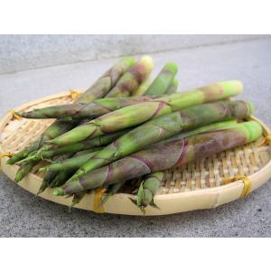 食品 皮付き蒸煮 竹の子 1本 国華園 F865 食みらい 国華園 通販 Yahoo ショッピング