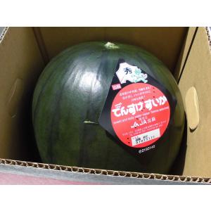 送料無料 でんすけ西瓜(秀5L・10〜11Kg)...の商品画像