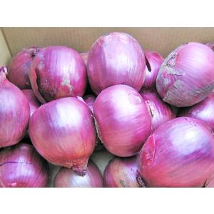 紫玉ねぎ（L〜L大）5Kg 北海道産 赤玉ねぎ レッドオニオン 出荷時期：9