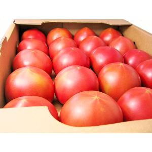 北海道美瑛産トマト（A品・Ｌ） 4Kg (20玉前後)×1箱 YES！clean表示農産物 出荷時期：6〜10月