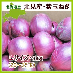 紫玉ねぎ（L〜L大）5Kg /北海道産 出荷時期：9〜4月
