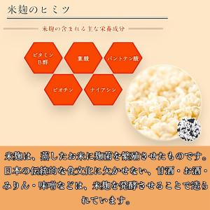甘酒 しょうが フリーズドライ 12袋 個包装...の詳細画像2