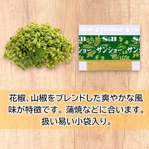 S&B 山椒 小袋(0.2g×20入)...の詳細画像1