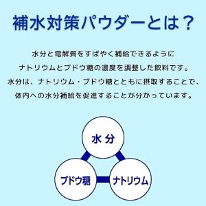 五洲薬品 経口補水パウダー 60包 スティック...の詳細画像4