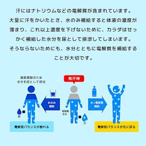 五洲薬品 経口補水パウダー 60包 スティック...の詳細画像5