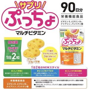 サプリぷっちょ 100粒 マルチビタミン グレ...の詳細画像1