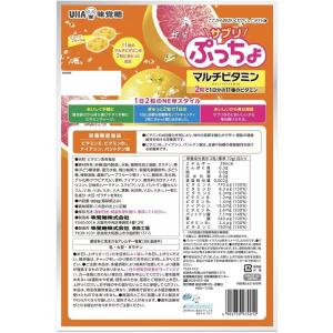 サプリぷっちょ 100粒 マルチビタミン グレ...の詳細画像2