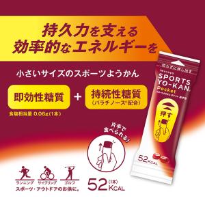 井村屋 スポーツようかん あずき (18g×2...の詳細画像1