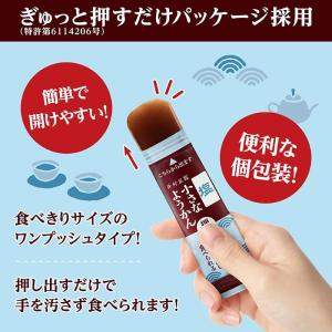 井村屋 小さなようかん 塩(14g×40本) ...の詳細画像4