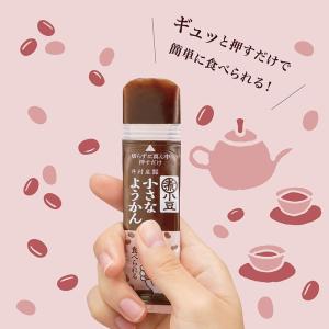 井村屋 小さなようかん あずき (15g×20...の詳細画像5