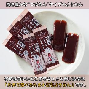井村屋 小さなようかん あずき (15g×40...の詳細画像4