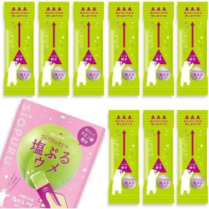 塩ぷるウメ ゼリー (15g×20本) スティックタイプ 熱中対策 塩分補給 個包装